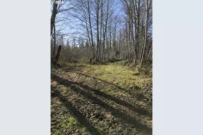 Hawkins Rd, Warrenton, OR 97146 - Photo 15