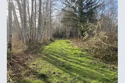 Hawkins Rd, Warrenton, OR 97146 - Photo 9