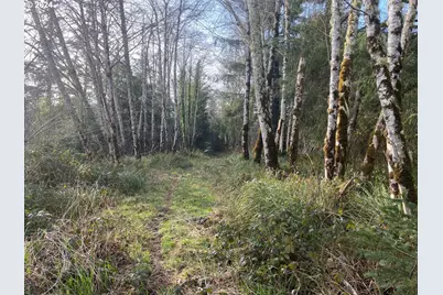 Hawkins Rd, Warrenton, OR 97146 - Photo 13