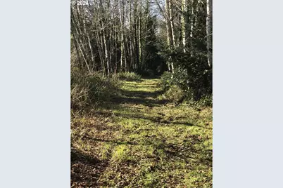 Hawkins Rd, Warrenton, OR 97146 - Photo 21