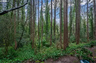 4000 Carman Dr, Lake Oswego, OR 97035 - Photo 27