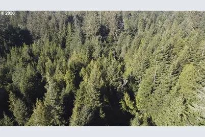 Cedar Ln #112, Florence, OR 97439 - Photo 13