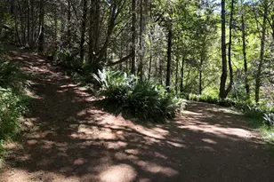 17769 Rainbow Rock Rd, Brookings, OR 97415 - Photo 45