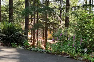 17769 Rainbow Rock Rd, Brookings, OR 97415 - Photo 11