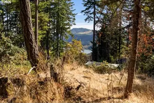 703 W Jewett Blvd, White Salmon, WA 98672 - Photo 45