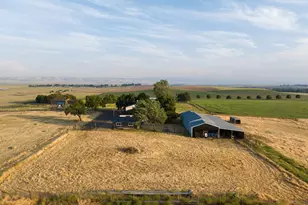 71176 Tutuilla Creek Rd, Pendleton, OR 97801 - Photo 39