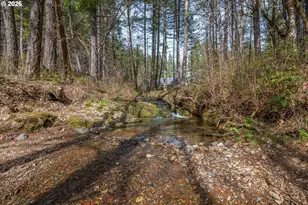 322 Round Prairie Rd, Wilderville, OR 97543 - Photo 39