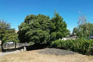 1468 SE Thompson St, Roseburg, OR 97470 - Photo 39