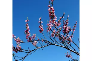 631 2nd Ave, Powers, OR 97466 - Photo 21