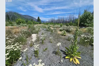 52262 McKenzie Hwy, Blue River, OR 97413 - Photo 5