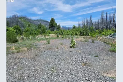 52262 McKenzie Hwy, Blue River, OR 97413 - Photo 9