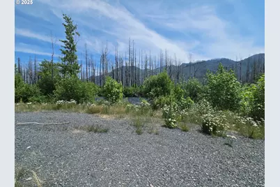 52262 McKenzie Hwy, Blue River, OR 97413 - Photo 7