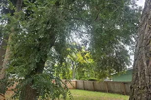 211 Sherman St, Amity, OR 97101 - Photo 43