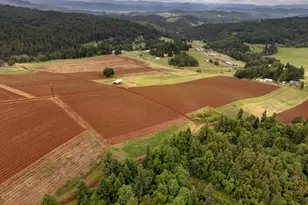 1066 Red Hill Rd, Oakland, OR 97462 - Photo 1