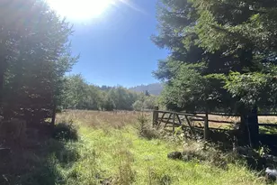 30 Winchuck River Rd, Brookings, OR 97415 - Photo 11