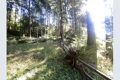 30 Winchuck River Rd, Brookings, OR 97415 - Photo 29