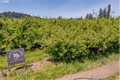 0 Fir Mountain Rd, Hood River, OR 97031 - Photo 31