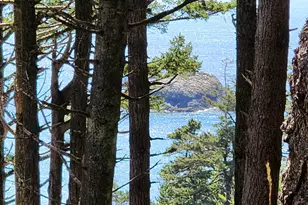 93204 Cemetery Loop Rd, Port Orford, OR 97465 - Photo 9