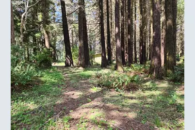 93204 Cemetery Loop Rd, Port Orford, OR 97465 - Photo 19