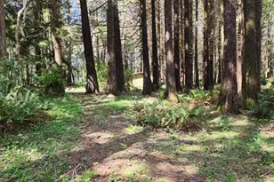 93204 Cemetery Loop Rd, Port Orford, OR 97465 - Photo 19