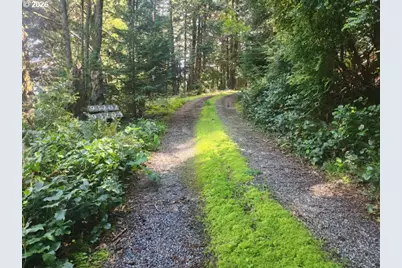 93204 Cemetery Loop Rd, Port Orford, OR 97465 - Photo 23