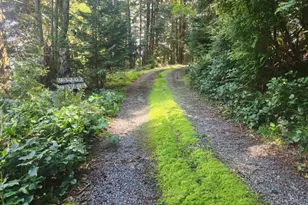 93204 Cemetery Loop Rd, Port Orford, OR 97465 - Photo 23