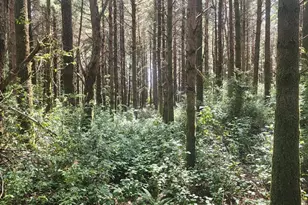 93204 Cemetery Loop Rd, Port Orford, OR 97465 - Photo 27