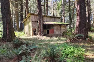 93204 Cemetery Loop Rd, Port Orford, OR 97465 - Photo 5