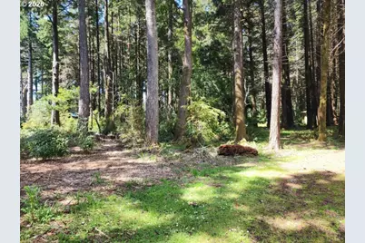 93204 Cemetery Loop Rd, Port Orford, OR 97465 - Photo 17