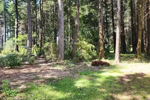 93204 Cemetery Loop Rd, Port Orford, OR 97465 - Photo 17