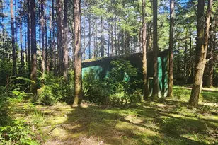 93204 Cemetery Loop Rd, Port Orford, OR 97465 - Photo 25
