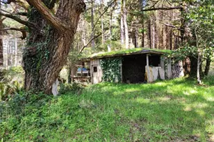 93204 Cemetery Loop Rd, Port Orford, OR 97465 - Photo 15