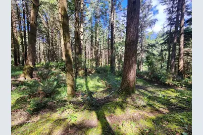 93204 Cemetery Loop Rd, Port Orford, OR 97465 - Photo 21