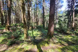 93204 Cemetery Loop Rd, Port Orford, OR 97465 - Photo 21