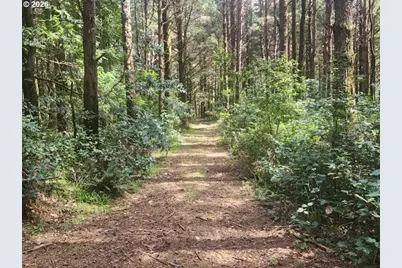 93204 Cemetery Loop Rd, Port Orford, OR 97465 - Photo 29