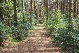 93204 Cemetery Loop Rd, Port Orford, OR 97465 - Photo 29