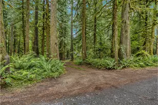 26467 E Henry Creek Rd, Rhododendron, OR 97049 - Photo 45
