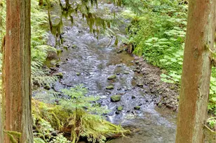 26467 E Henry Creek Rd, Rhododendron, OR 97049 - Photo 3