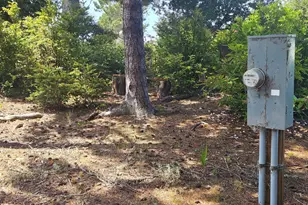 1600 Rhododendron Dr, Florence, OR 97439 - Photo 29