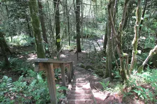 64930 E Mountain Meadow Ln, Rhododendron, OR 97049 - Photo 43