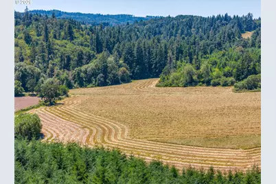 0 Lafayette Hwy, Dayton, OR 97114 - Photo 9