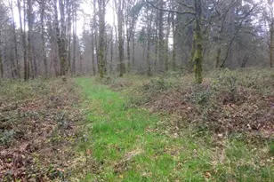 19311 Beutel Rd, Oregon City, OR 97045 - Photo 17