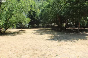 3450 Shoestring Rd, Riddle, OR 97469 - Photo 41