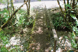 3450 Shoestring Rd, Riddle, OR 97469 - Photo 39