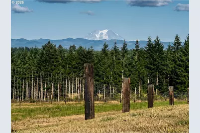 527 Tennessee Rd, Winlock, WA 98596 - Photo 47