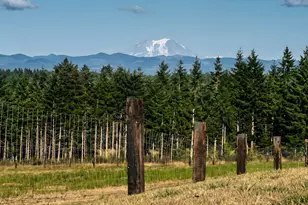 527 Tennessee Rd, Winlock, WA 98596 - Photo 47