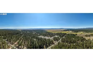 20779 Bear Gulch Rd, Canyon City, OR 97820 - Photo 27