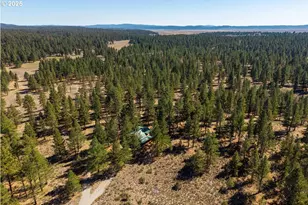 20779 Bear Gulch Rd, Canyon City, OR 97820 - Photo 29