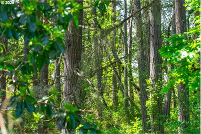 Maple Ave, Sutherlin, OR 97479 - Photo 39