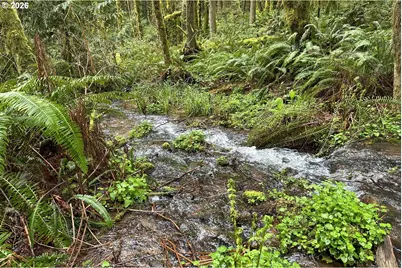 39449 Ann Ln, Marcola, OR 97454 - Photo 3